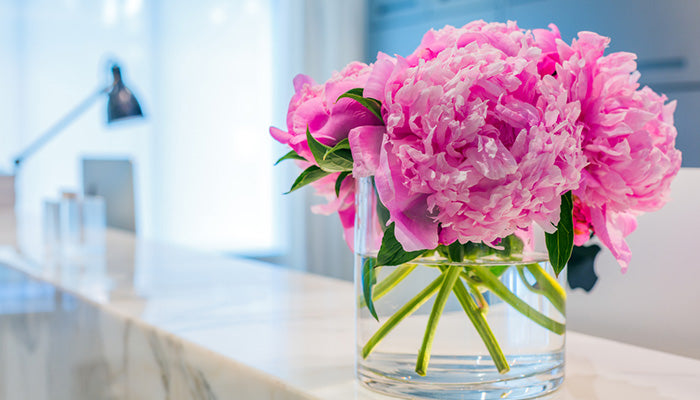 Blumen als Firmengeschenk - So freuen sich Kunden und Kollegen