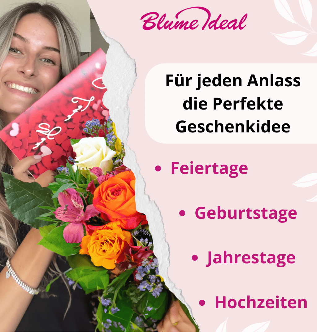 10 bunte Rosen - Blume Ideal