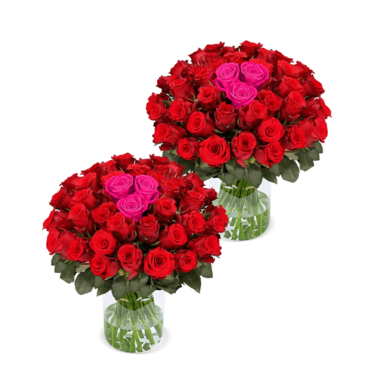 100 Rosen - "Heartbeat" (2x50 Stück) - Blume Ideal