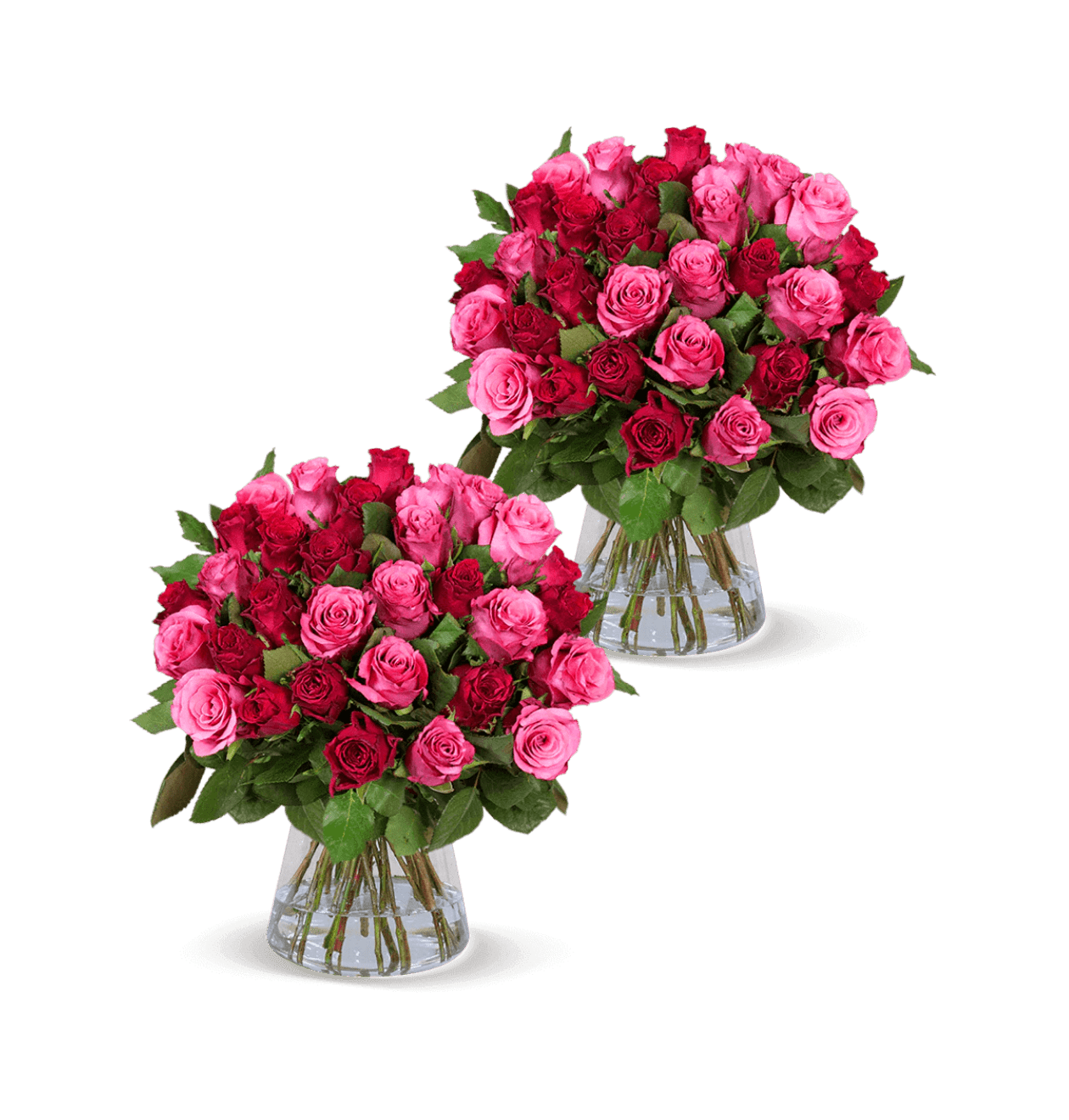 100 Rosen - "Romantic Roses" (2x50 Stück) - Blume Ideal