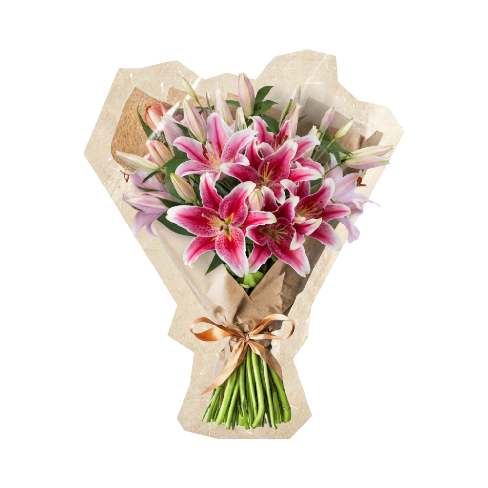 15 Pinke Lilien - Blume Ideal