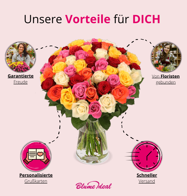 50 bunte Rosen