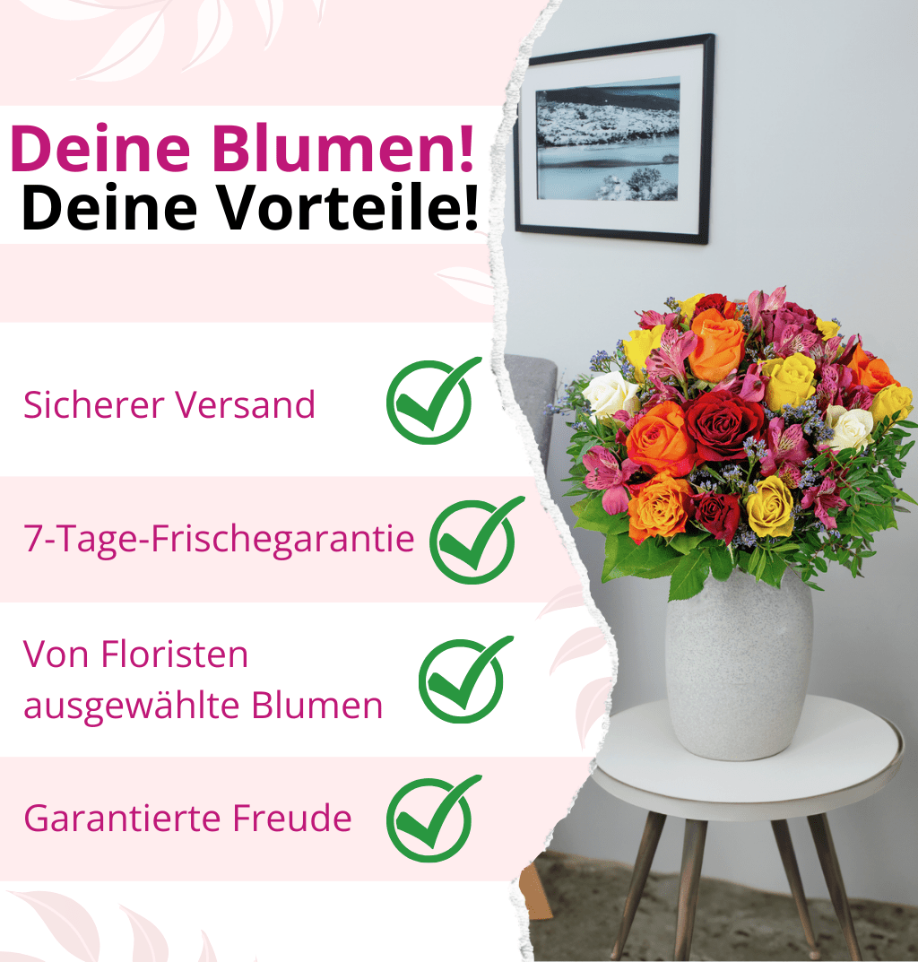 20 pinke Rosen - Blume Ideal