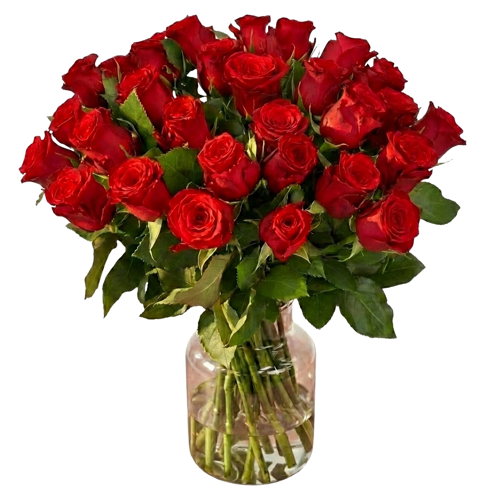 30 rote Rosen zum Weltfrauentag