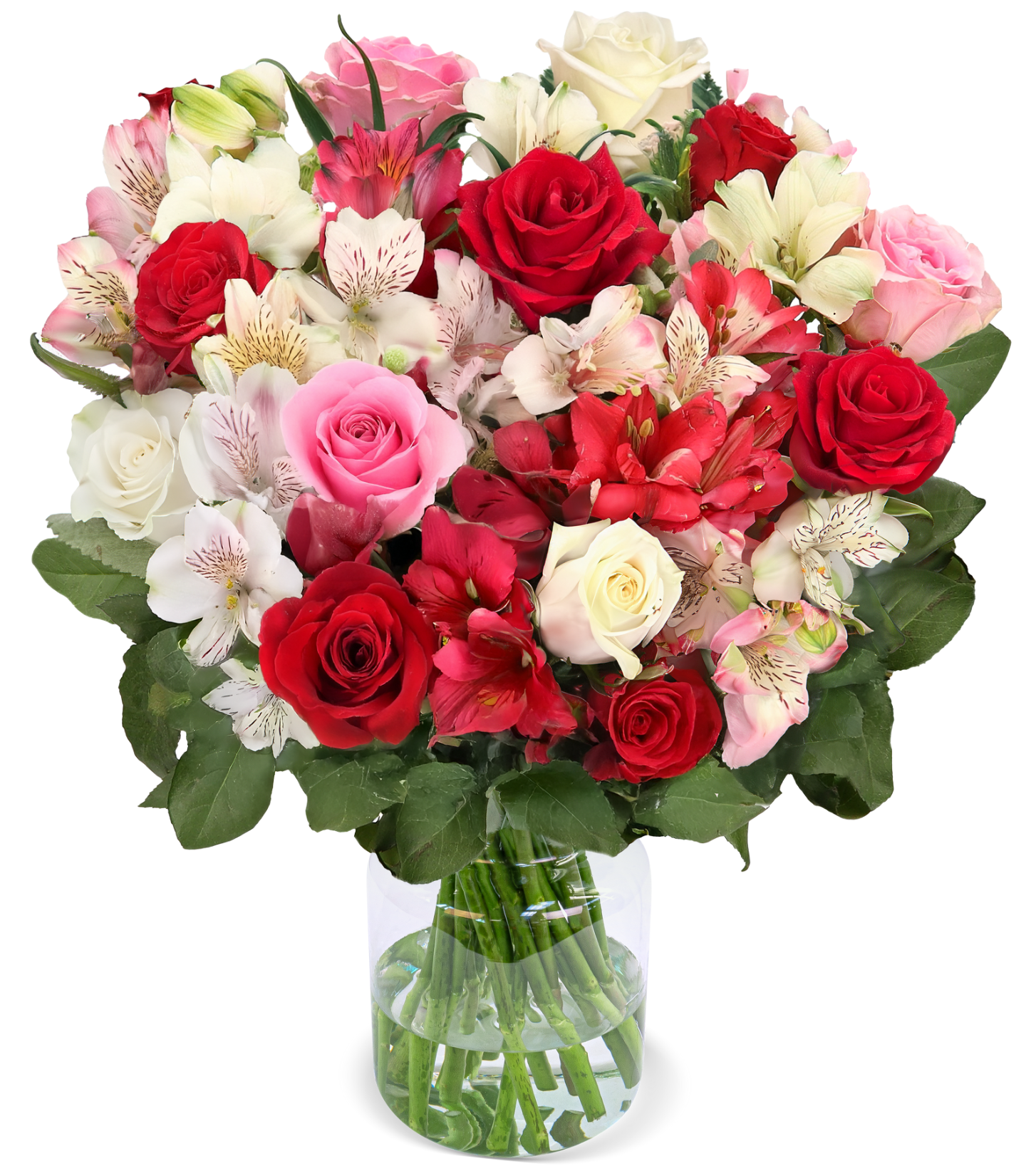 Amelie mit bis zu 40 Blüten