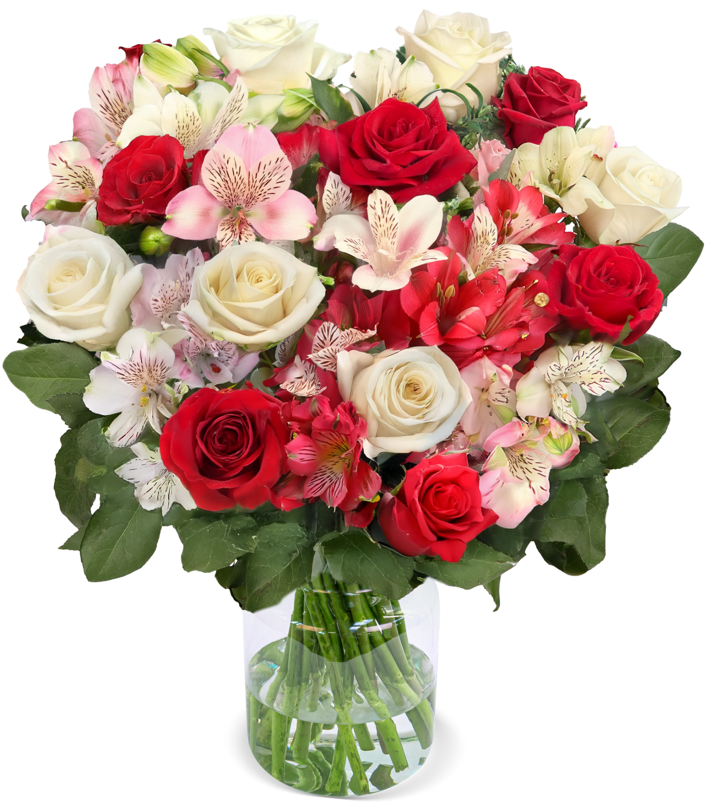 Wonderwoman mit bis zu 40 Blüten