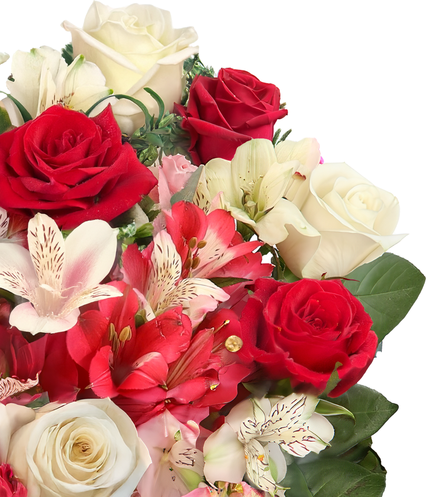 Wonderwoman mit bis zu 40 Blüten