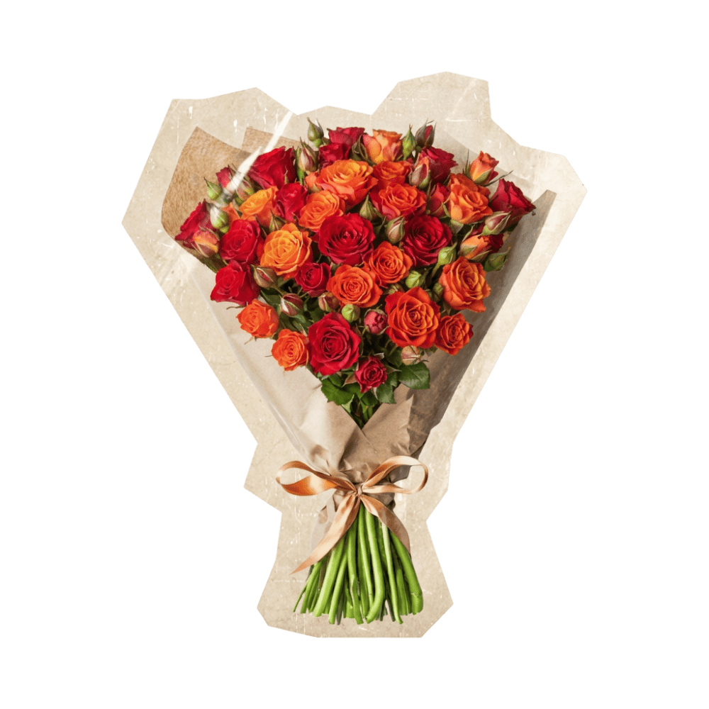 40 Rosen "Trick & Treat" - Blume Ideal