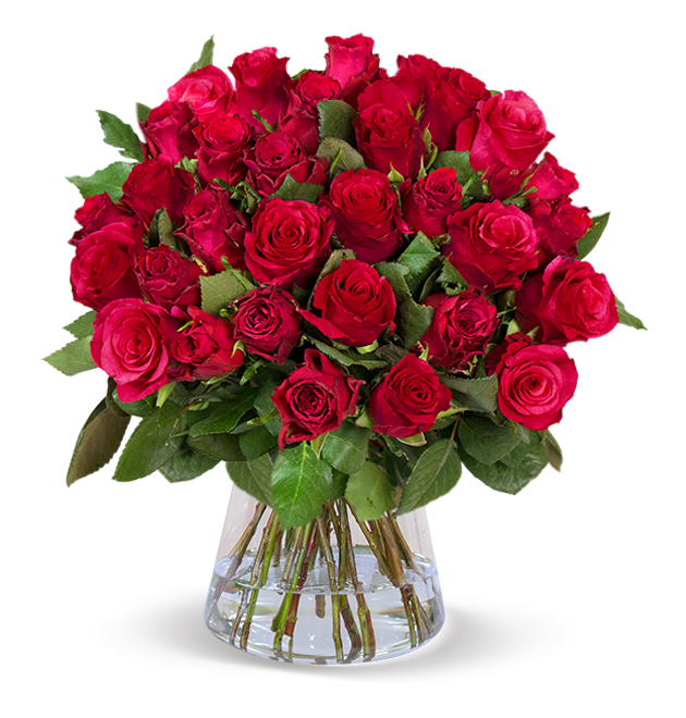 50 rote Rosen
