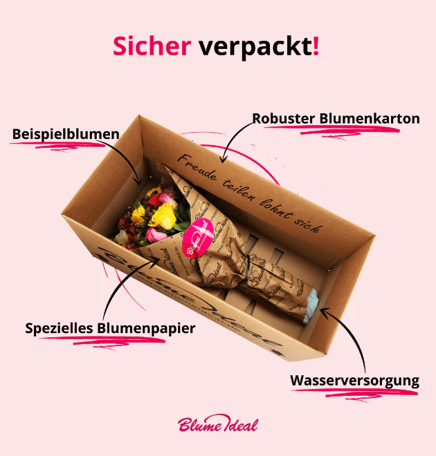 50 Rosen - Love Loud - Blume Ideal