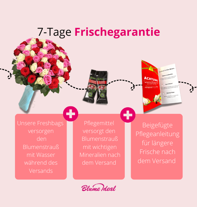 50 Rosen - Love Loud - Blume Ideal