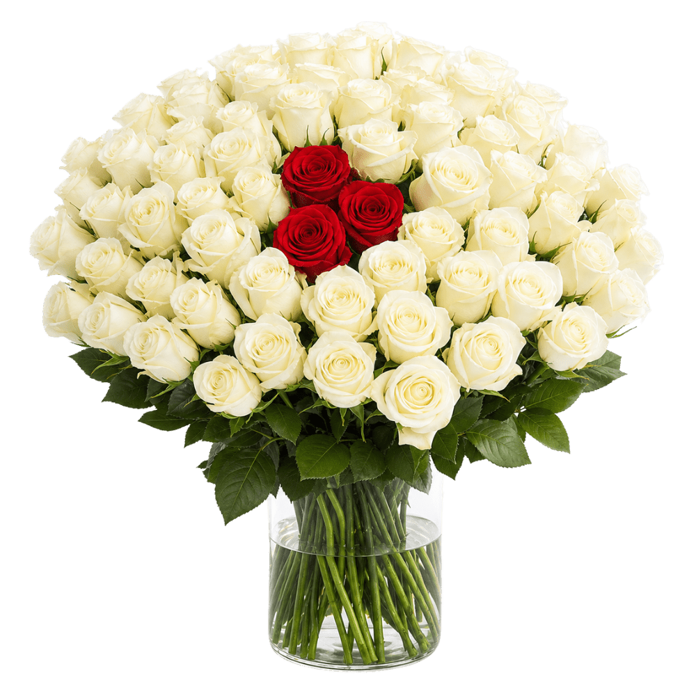 50 Rosen - "Nordlicht" - Blume Ideal