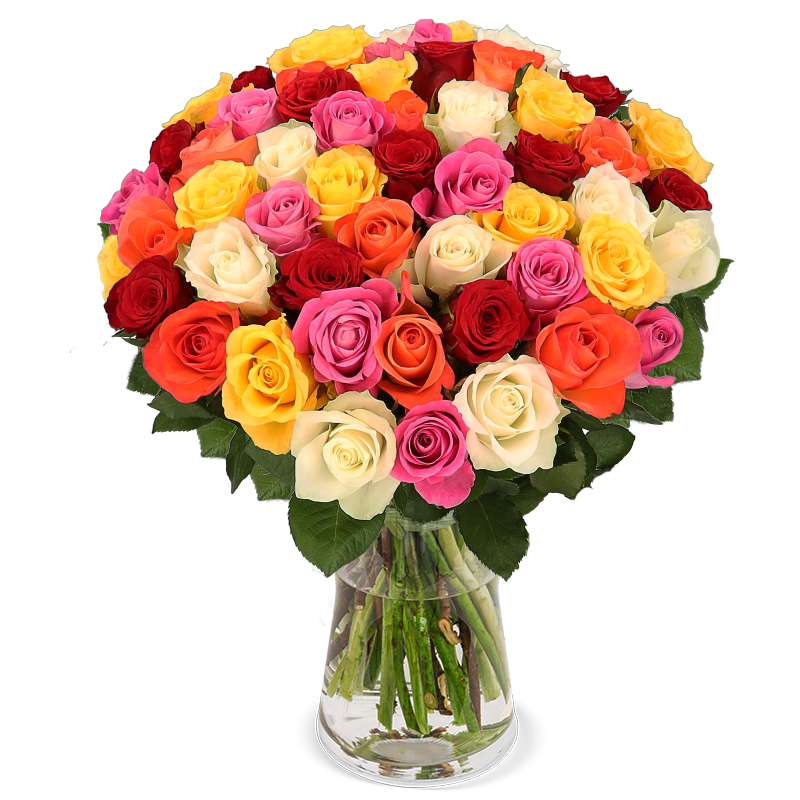 50 bunte Rosen
