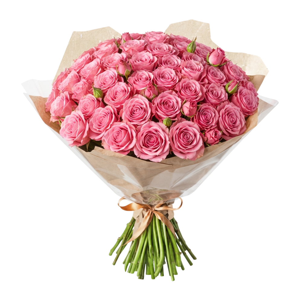 60 pinke Rosen - Blume Ideal