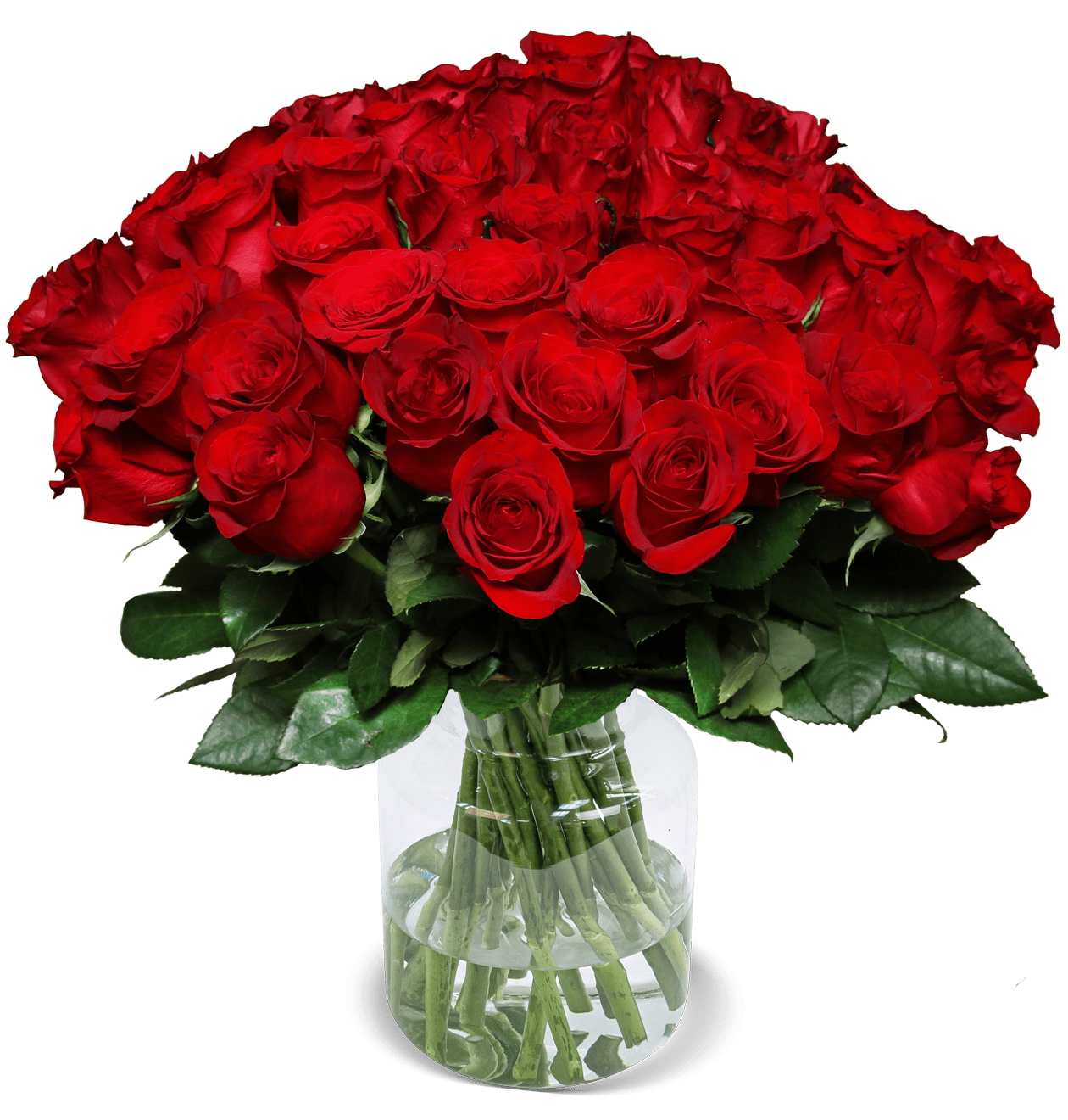 60 rote Rosen "Perfekter Liebesbeweis" - Blume Ideal