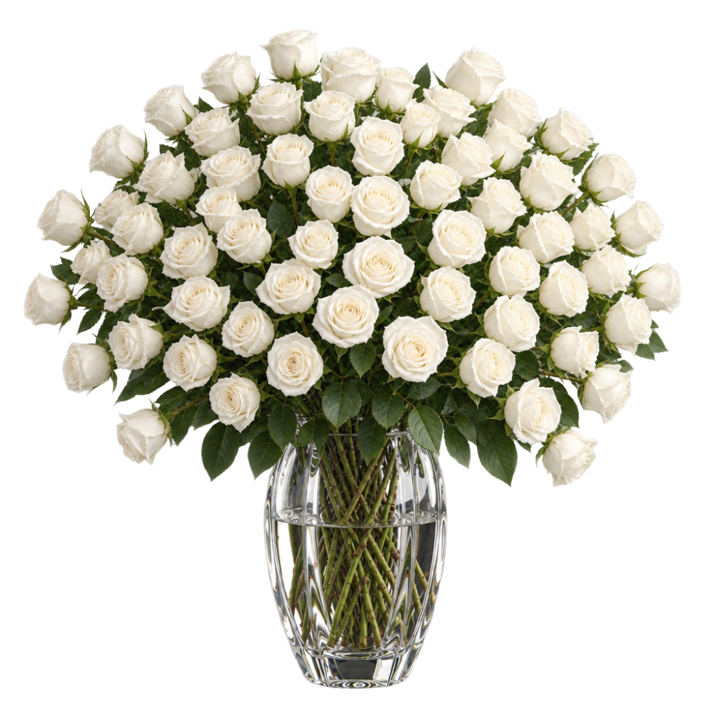 60 weiße Rosen