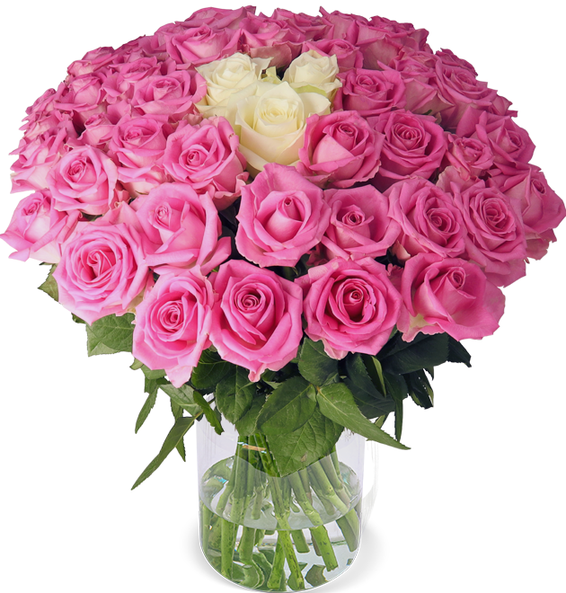 50 Rosen - "Pink Special"