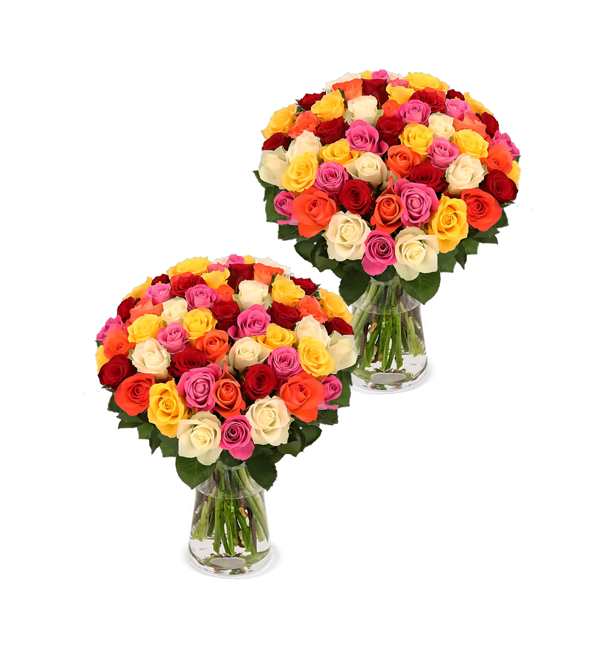 80 Bunte Rosen (2x40 Stück)