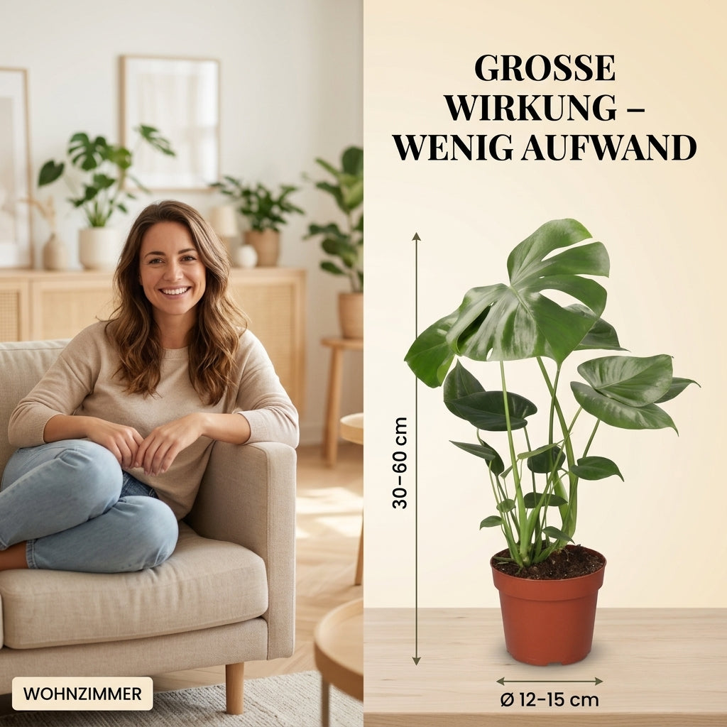 “EasyCare” Pflanzenset + 5x Seegraskorb | 5er-Set | ca. 30-60 cm | Ø 12-15 cm Topf
