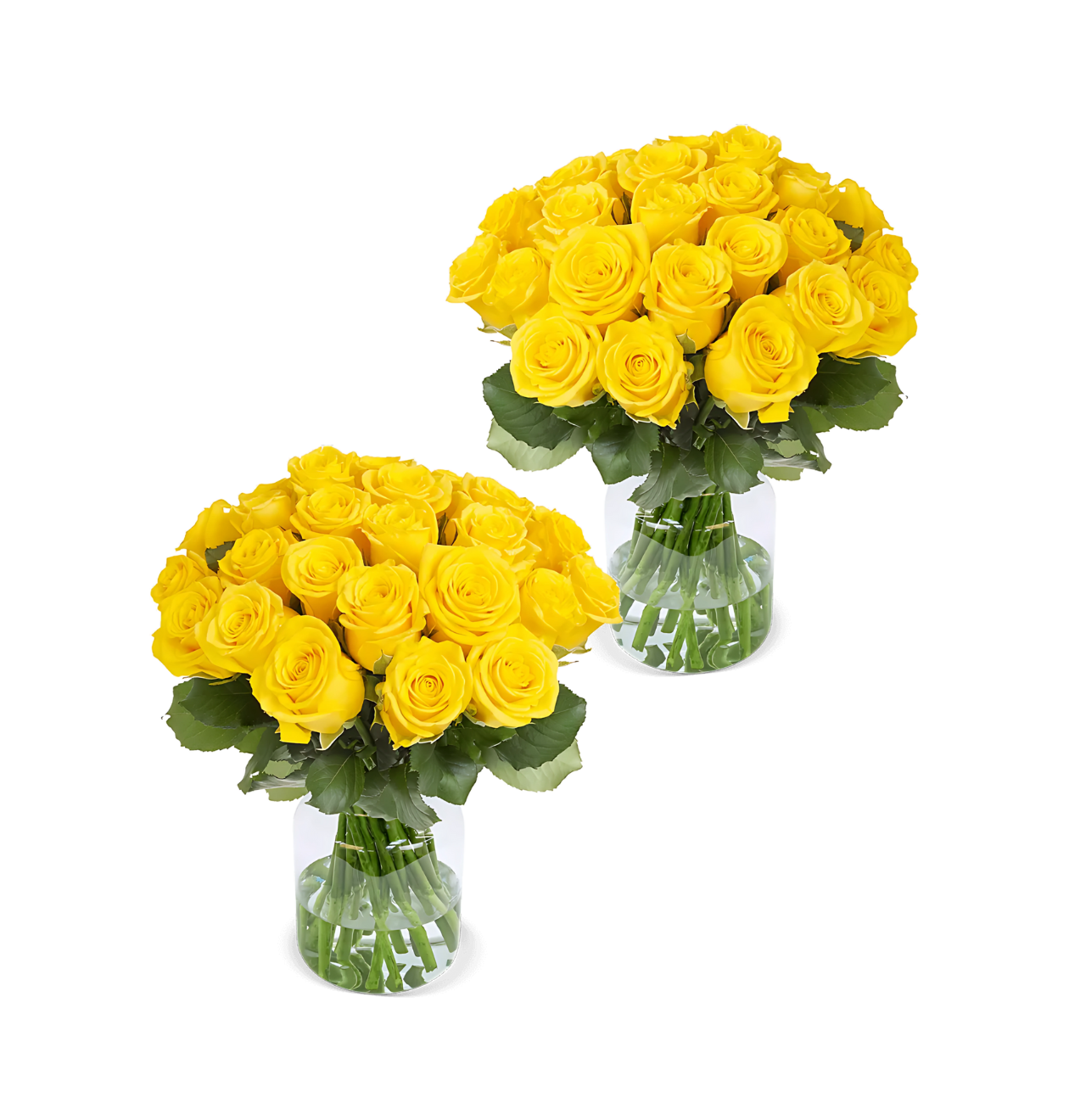 80 Gelbe Rosen (2x40 Stück)