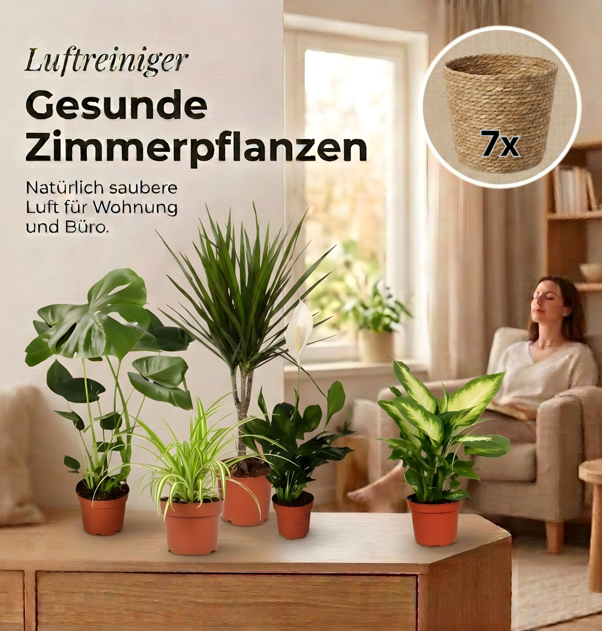 “Luftreiniger” Pflanzen-Set + 7x Seegraskorb | 7er-Set | ca. 30-70 cm | Ø 12-15 cm Topf