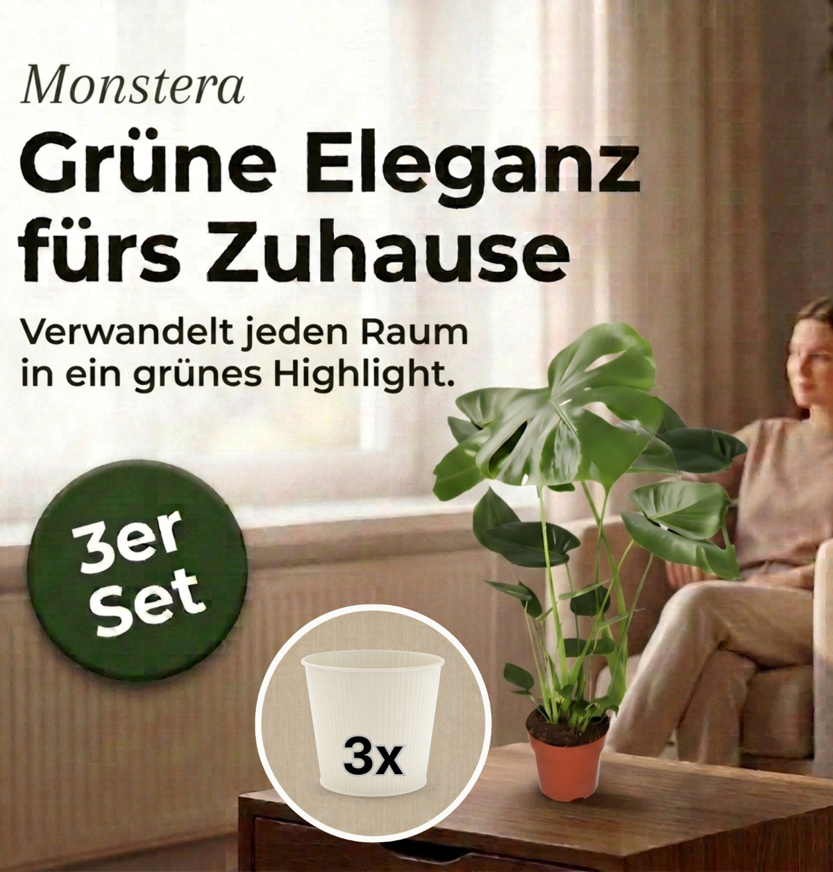 Monstera deliciosa + 3x Cremefarbener Zinktopf | 3er-Set | Fensterblatt | ca. 55-70 cm | Ø 12-15 cm Topf