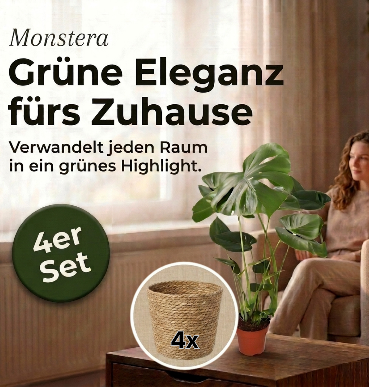 Monstera deliciosa + 4x Seegraskorb | 4er-Set | Fensterblatt | ca. 55-70 cm | Ø 12-15 cm Topf