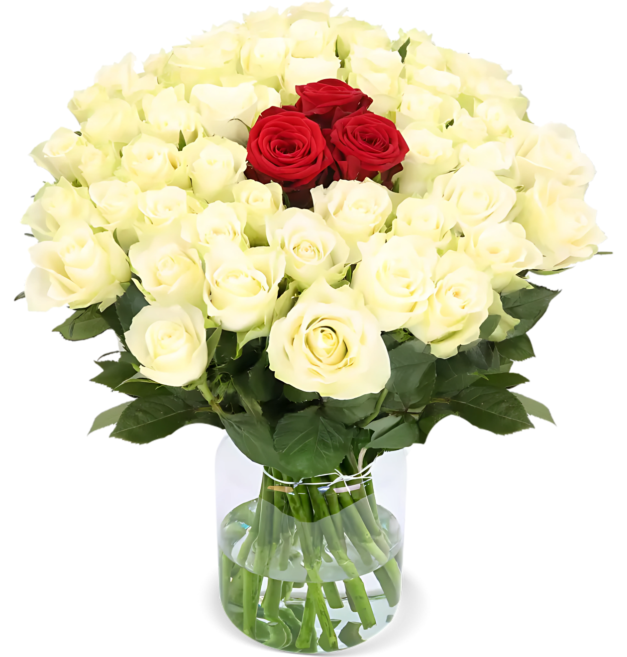 15 Rosen - "Nordlicht"