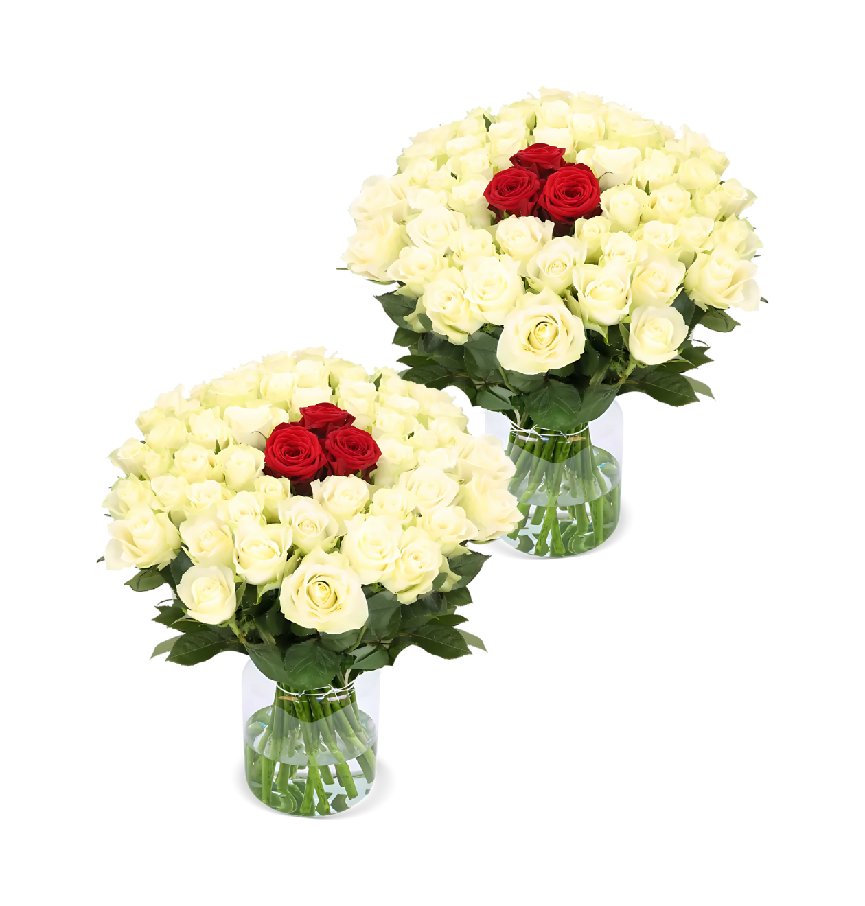 80 Rosen - "Nordlicht" (2x40 Stück)