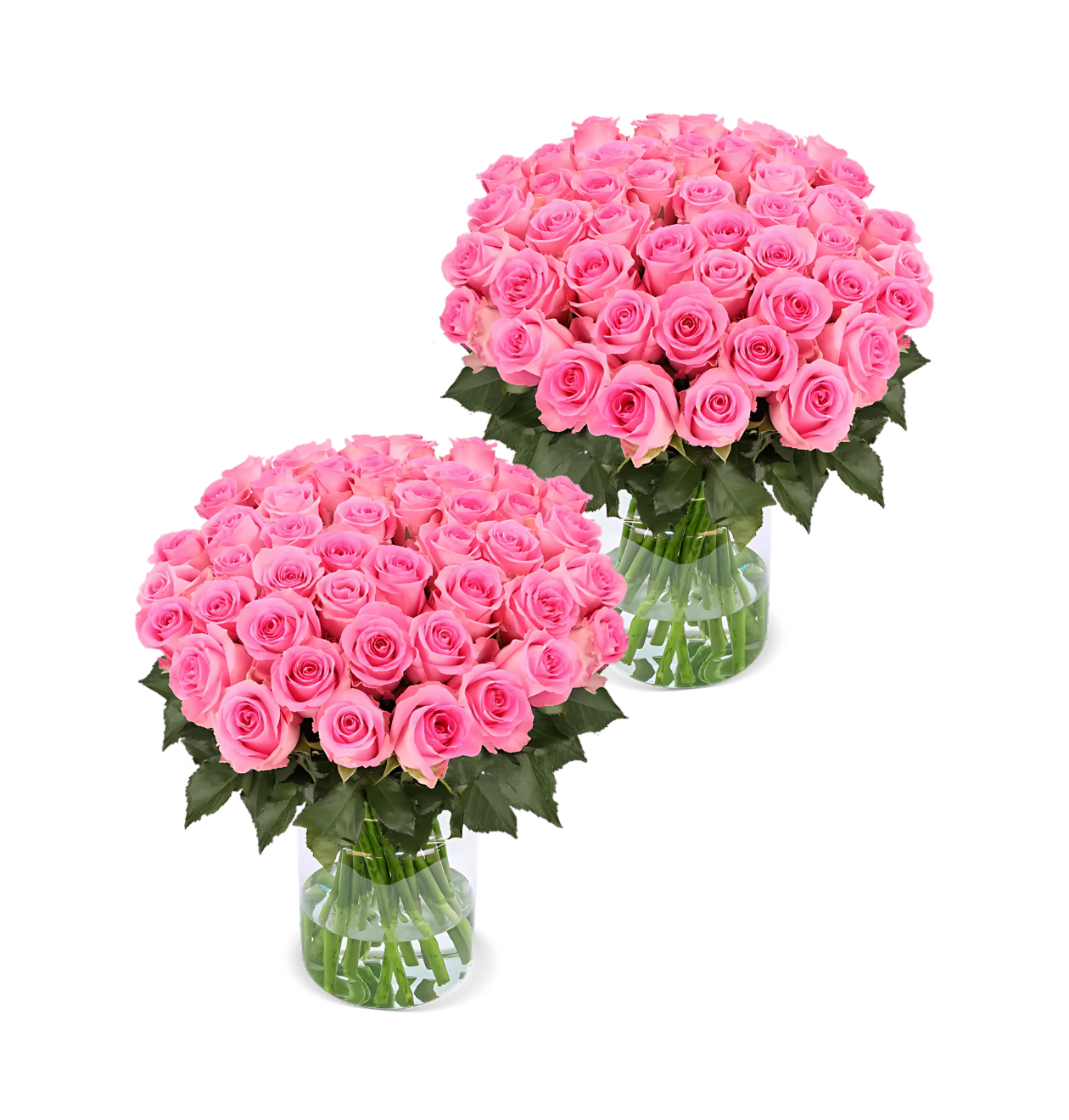 80 Pinke Rosen (2x40 Stück)