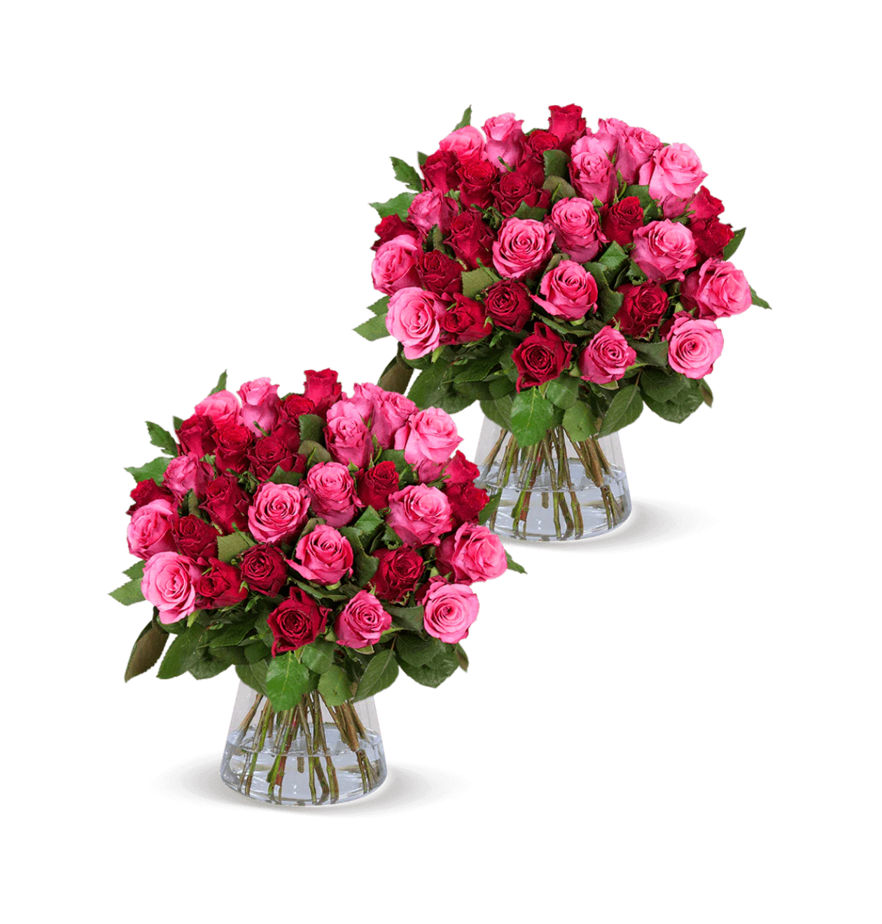 80 Rosen - "Romantic Roses" (2x40 Stück)