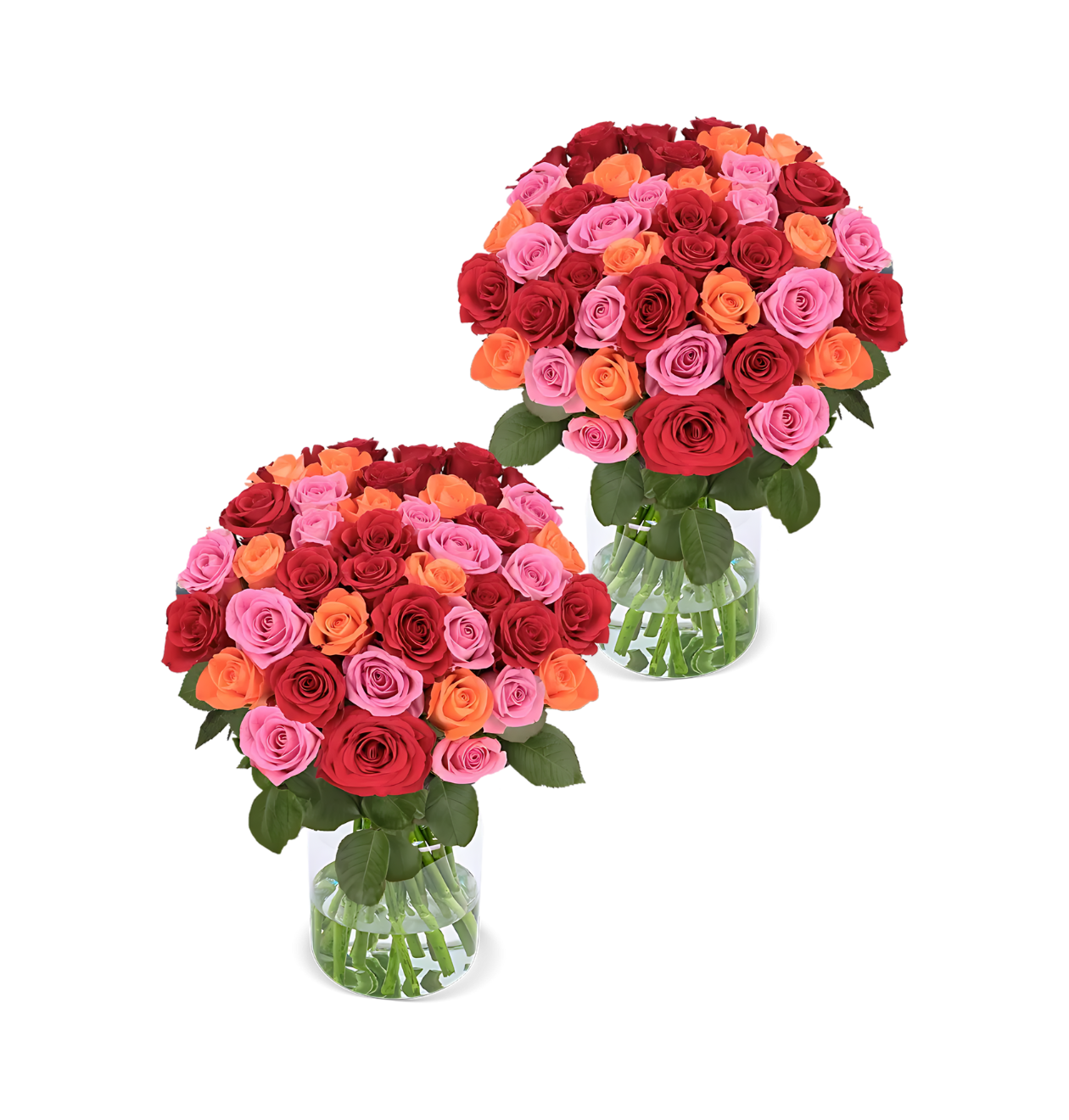 80 Rosen - "Rosenbeet" (2x40 Stück)