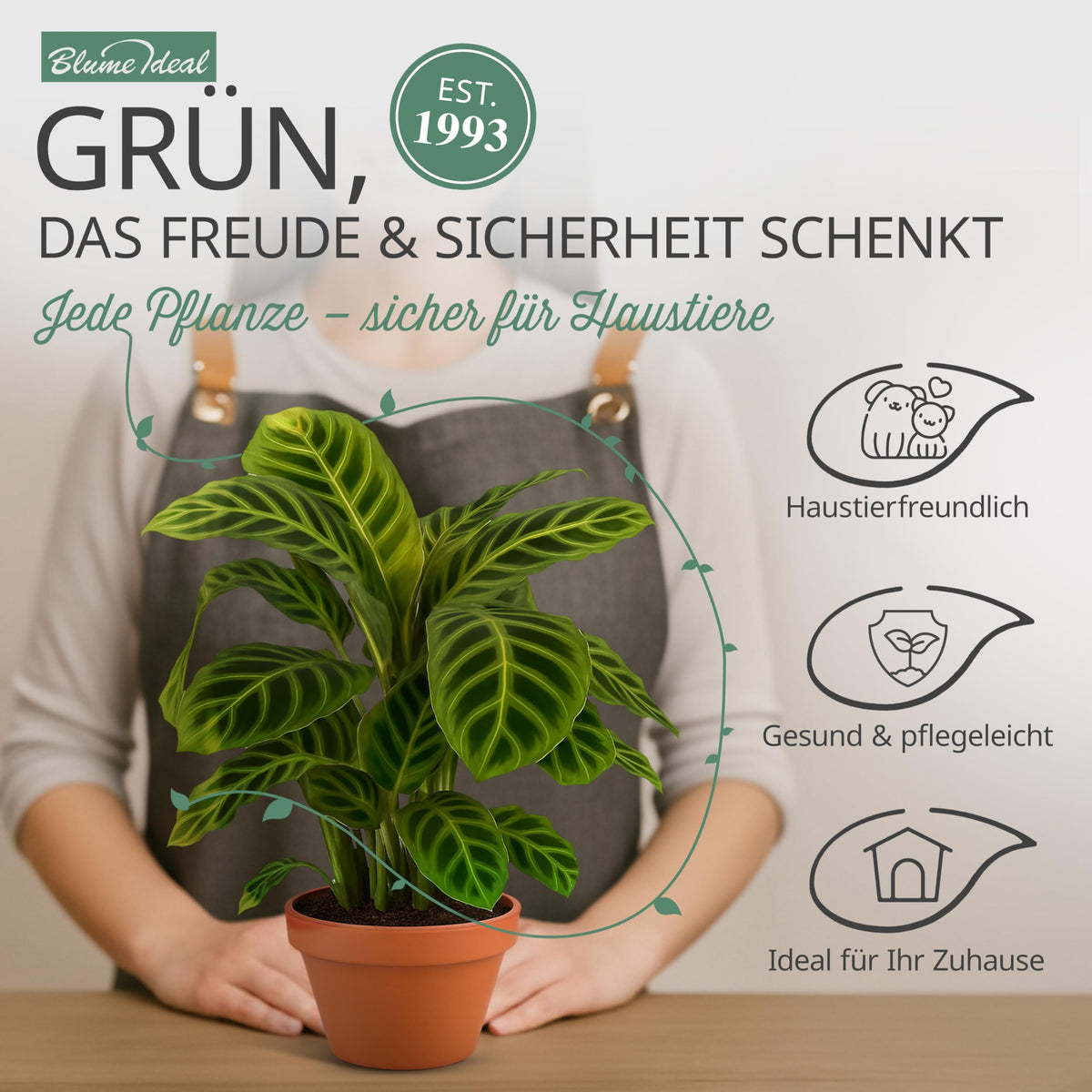 “Tierfreund” Pflanzen-Set + 5x Cremefarbener Zinktopf | 5er-Set | ca. 30-60 cm | Ø 12-15 cm Topf