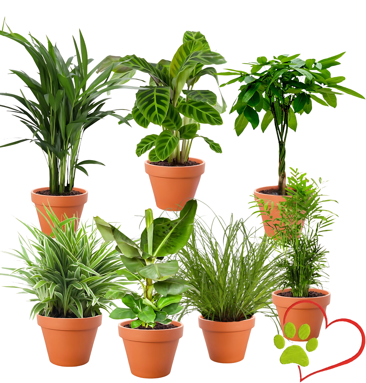 “Tierfreund” Pflanzen-Set | 7er-Set | ca. 30-60 cm | Ø 12-15 cm Topf