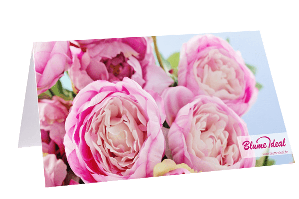 Blume Ideal - Blume Ideal