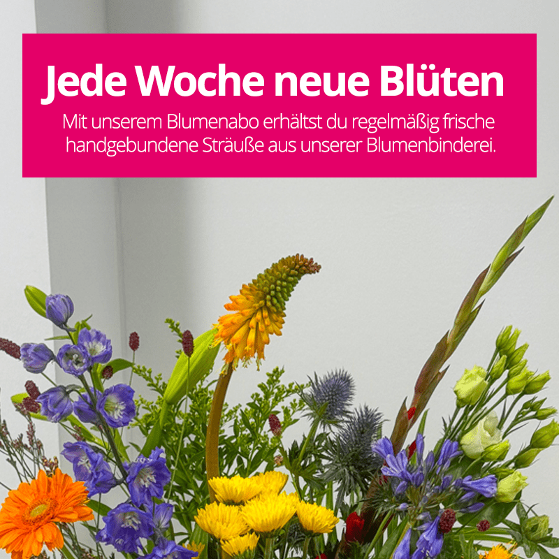 Blumenabo - Blume Ideal