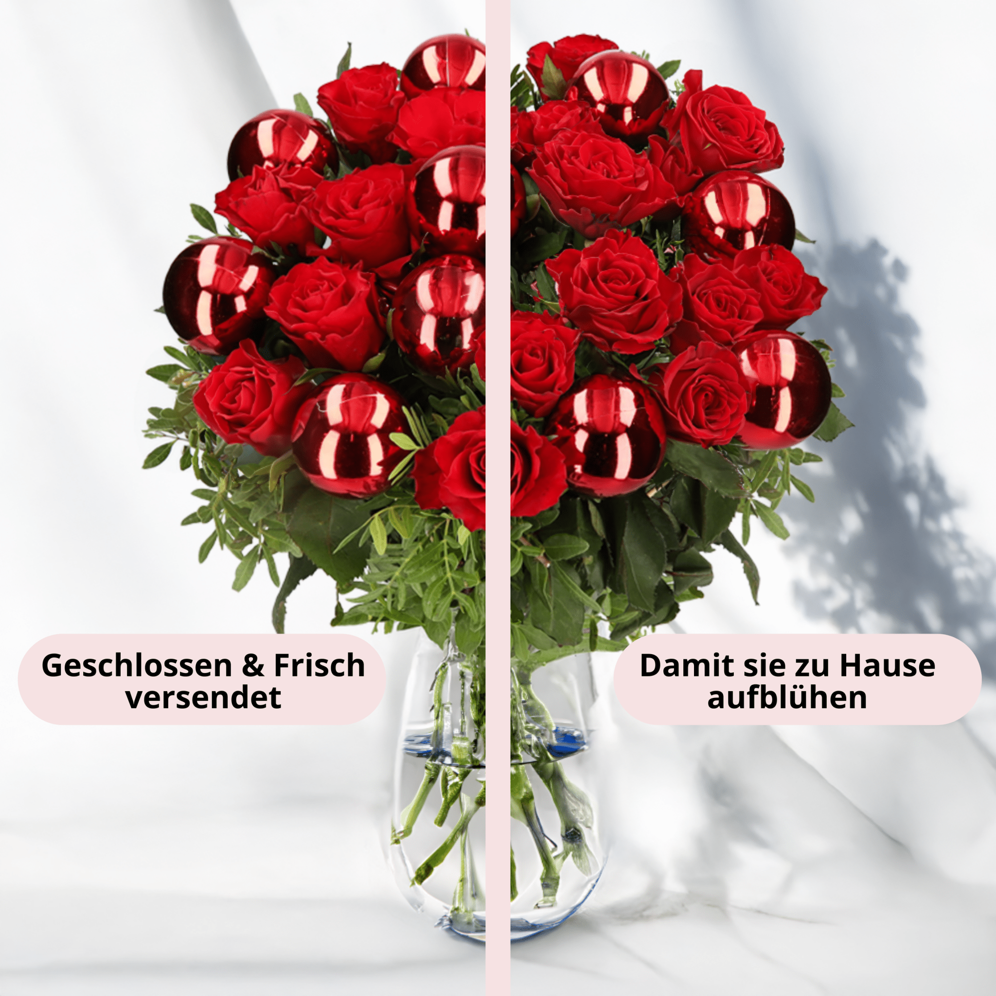 Christmas Red - Blume Ideal