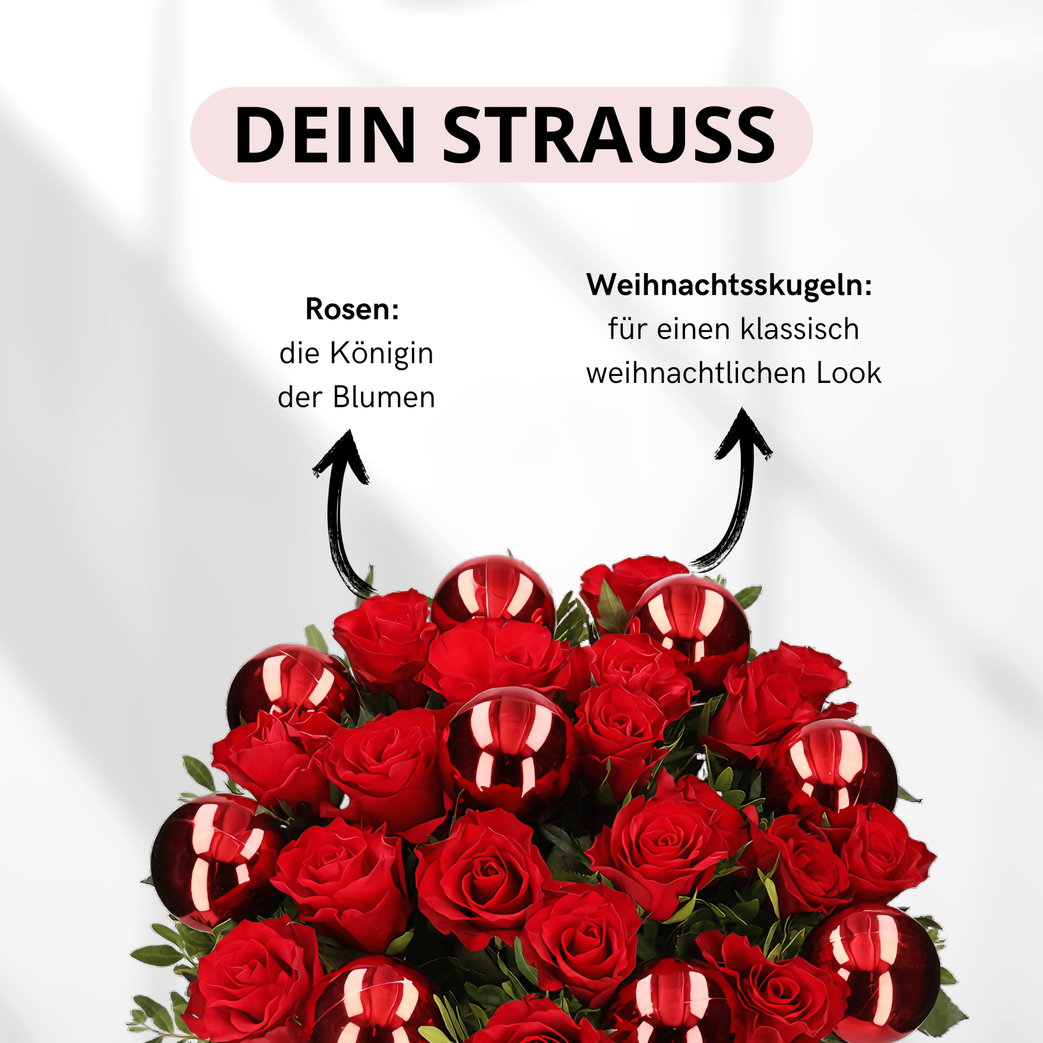 Christmas Red - Blume Ideal