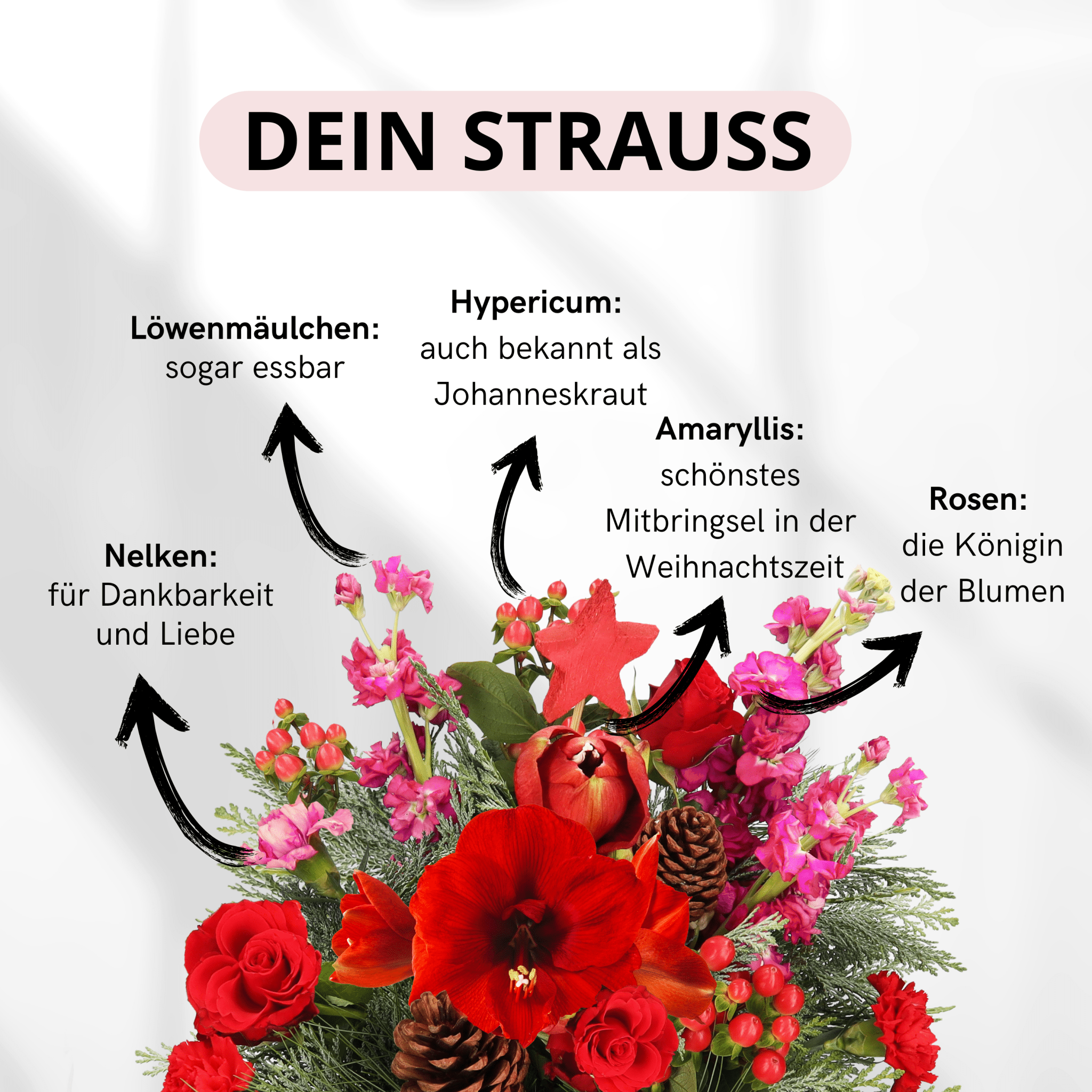 DIY - Mix - XMas - Edition - Blume Ideal