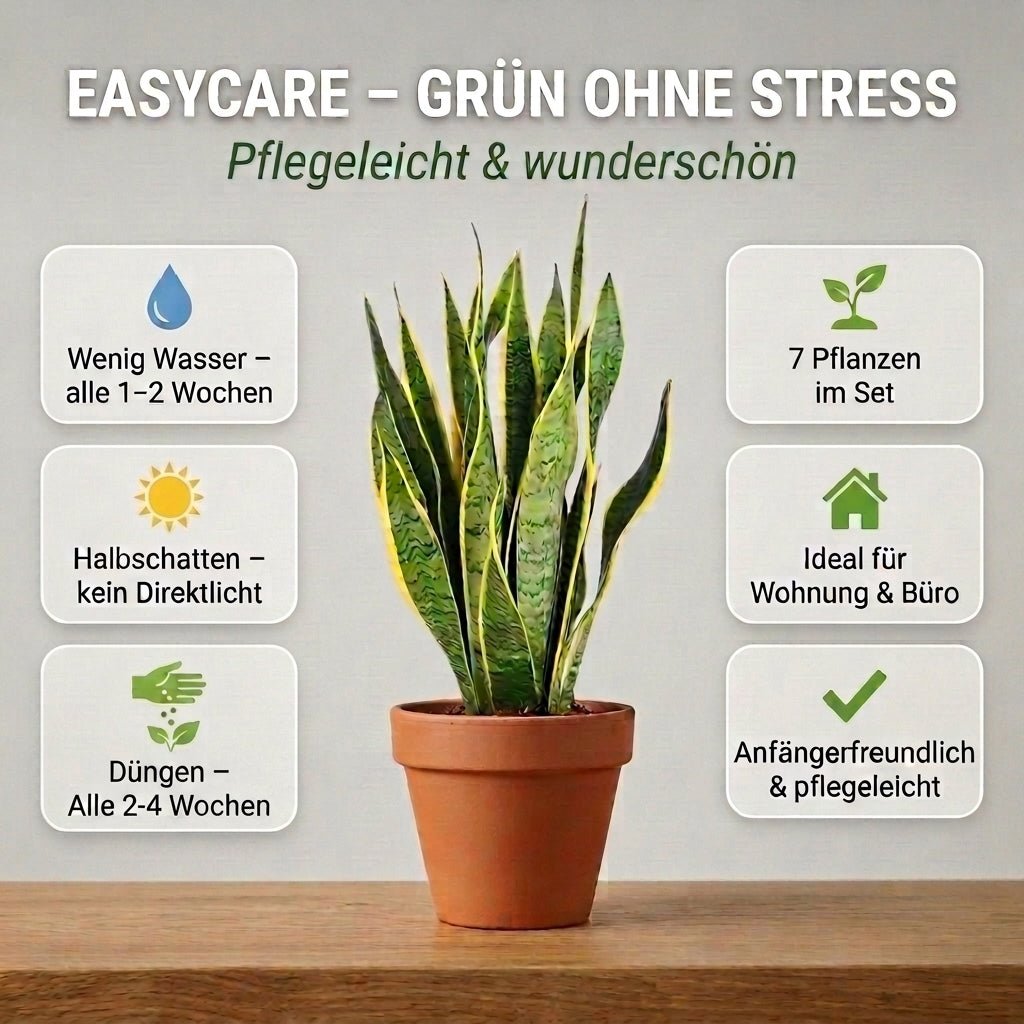 “EasyCare” Pflanzenset + Zinktopf | 7er - Set | ca. 30 - 60 cm | Ø 12 - 15 cm Topf - Blume Ideal