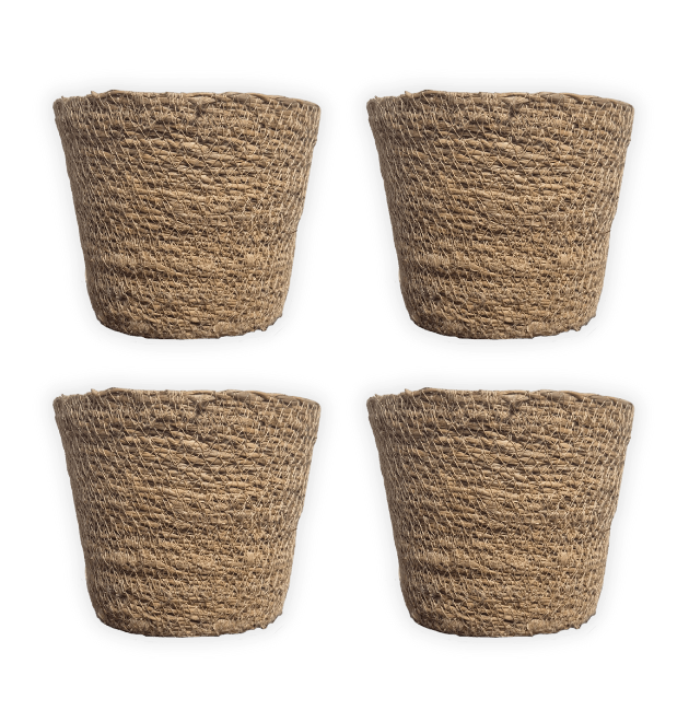 EasyCare Starter Set | 4er - Set + Zubehör | Monstera | Bogenhanf | Efeutute | Grünlilie | +/ - 30 - 60cm | ø 12 - 15cm Topf - Blume Ideal