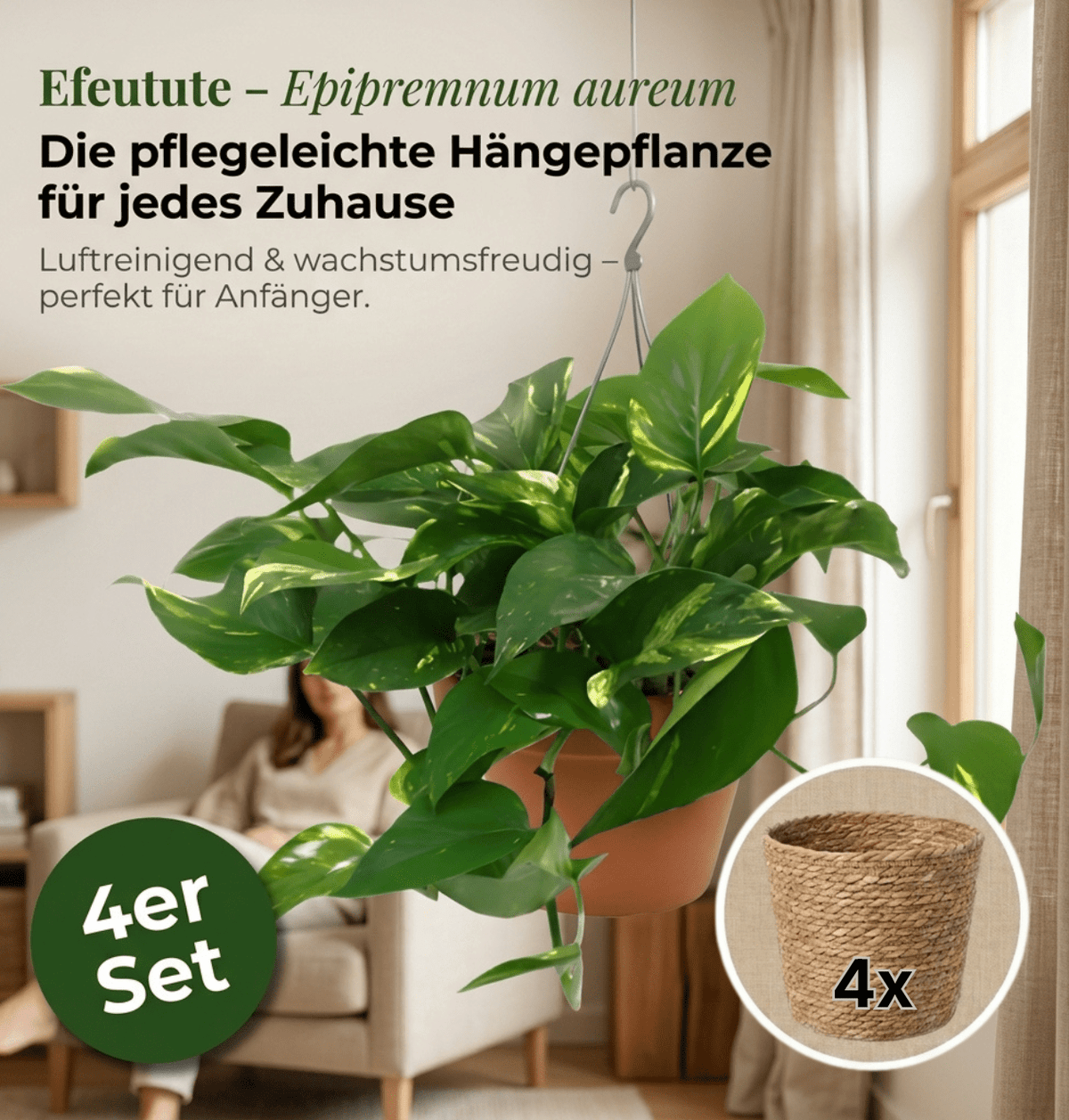 Efeutute (hängend) + 4x Seegraskorb | 4er-Set | Epipremnum aureum | ca. 30-35 cm | Ø 12-15 cm Topf - Blume Ideal