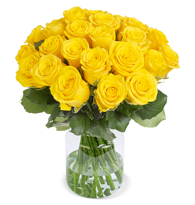 50 gelbe Rosen