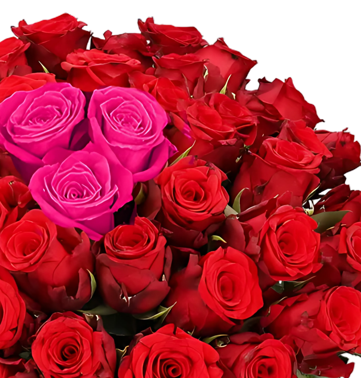 30 Rosen - “Heartbeat”