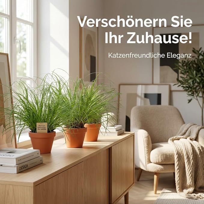 Katzengras + 7x Seegraskorb | 7er-Set | Cyperus zumula | ca. 20-30 cm | Ø 12-15 cm Topf - Blume Ideal