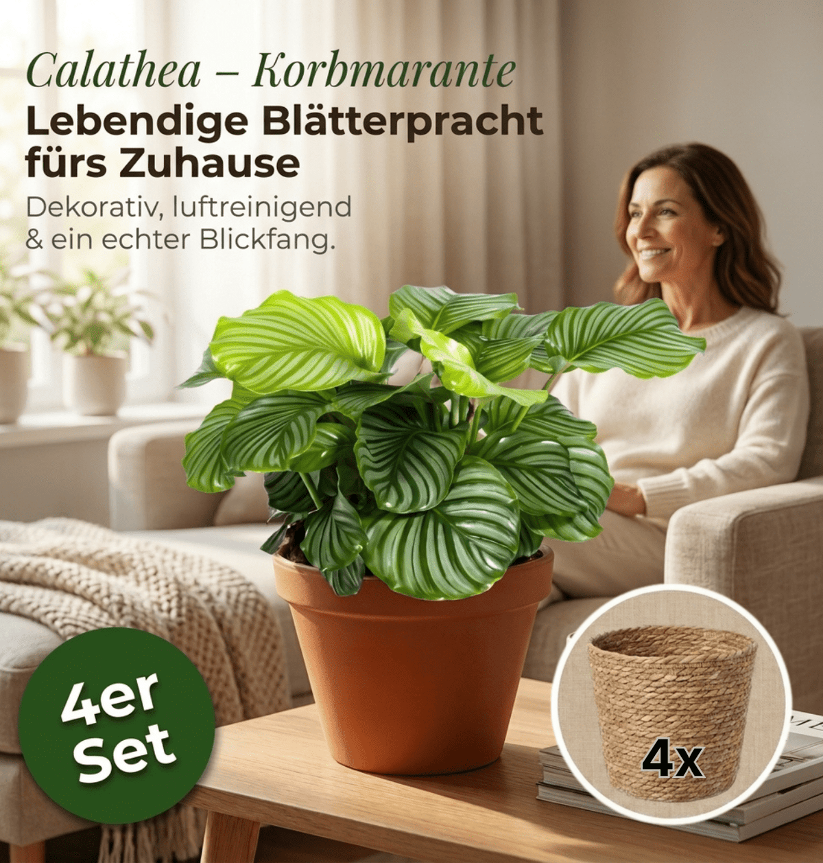 Korbmarante + 4x Seegraskorb | 4er-Set | Calathea | ca. 40-50 cm | Ø 12-15 cm Topf - Blume Ideal