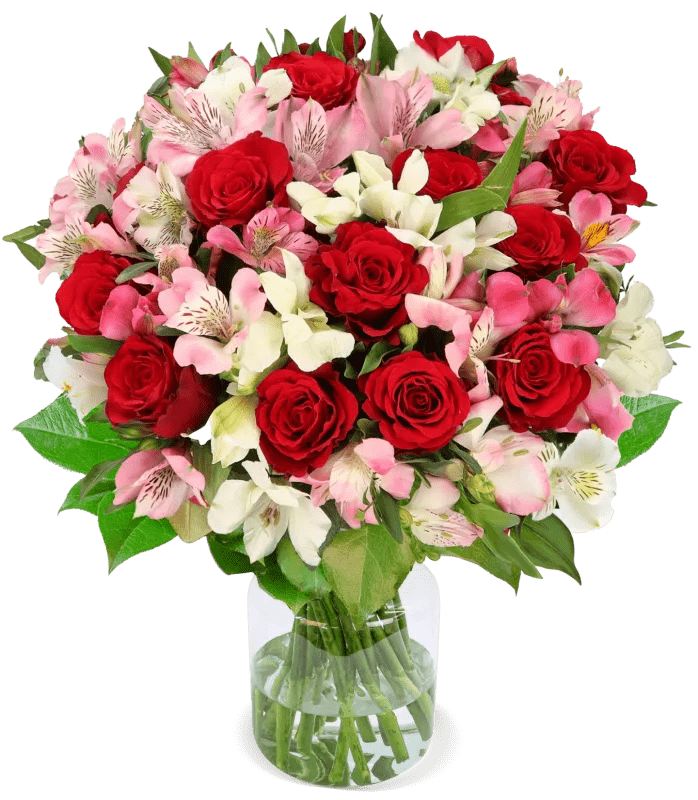 Liebesgruß mit bis zu 40 Blüten - Blume Ideal