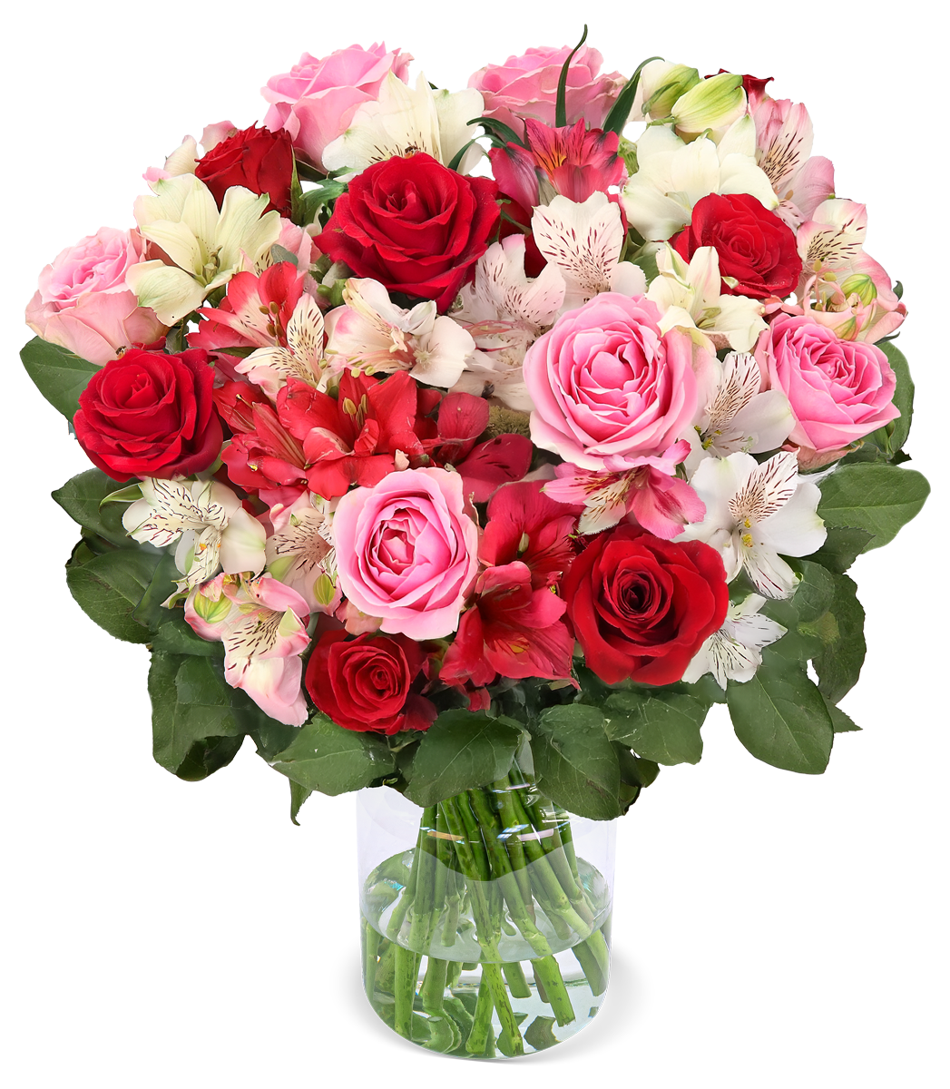 Rosenwunder mit bis zu 40 Blüten