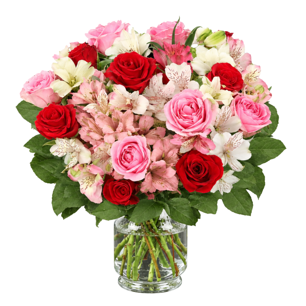 Rosenwunder - Blume Ideal