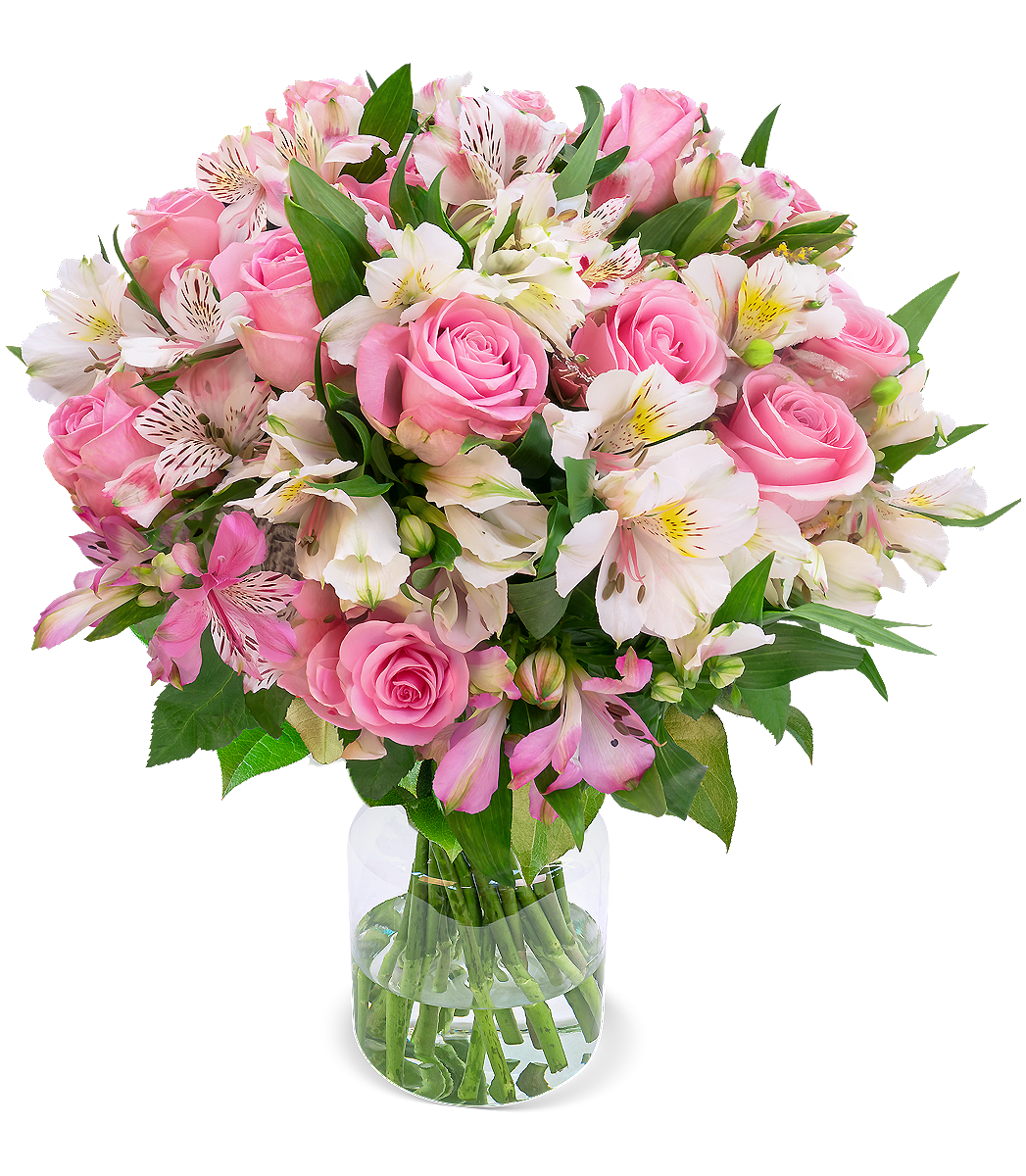 Sweet Surprise mit bis zu 40 Blüten